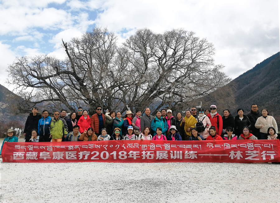 西藏阜康醫(yī)療2018年拓展訓(xùn)練——增強(qiáng)團(tuán)隊(duì)凝聚力、提升團(tuán)隊(duì)協(xié)作能力，更好地為患者服務(wù)