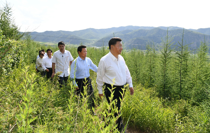 7月15日至16日，中共中央總書記、國家主席、中央軍委主席習(xí)近平在內(nèi)蒙古考察并指導(dǎo)開展“不忘初心、牢記使命”主題教育。這是15日下午，習(xí)近平在赤峰市喀喇沁旗馬鞍山林場林區(qū)，沿著崎嶇的護(hù)林小道察看林木長勢。